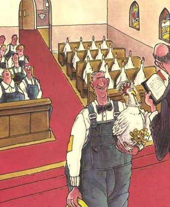 Imagem engraçada Marido e Galinha no iPiadas