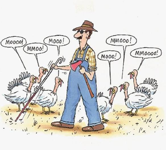Imagem engraçada Enganando no iPiadas