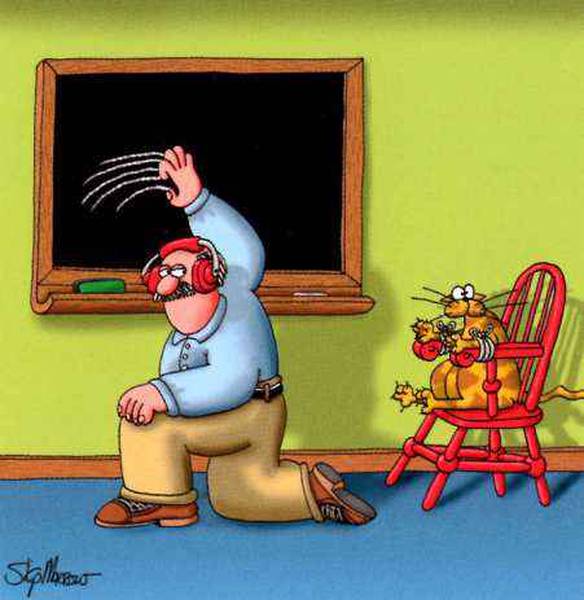 Imagem engraçada Torturando o Gato no iPiadas