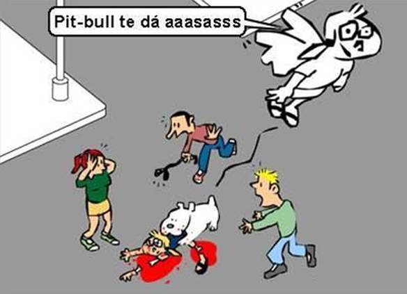 Imagem engraçada Pit Bull te dá Asas no iPiadas