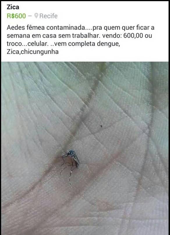 Imagem engraçada Oferta Imperdível no iPiadas