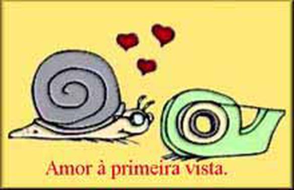 Amor a Primeira Vista