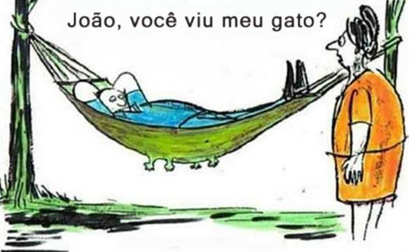 Imagem engraçada Gato Perdido no iPiadas