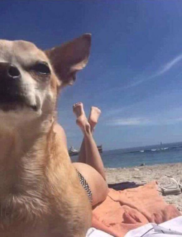 Imagem engraçada Tomando um Sol no iPiadas