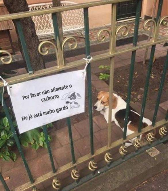 Imagem engraçada Também Vou Precisar de Uma Plaquinha no iPiadas