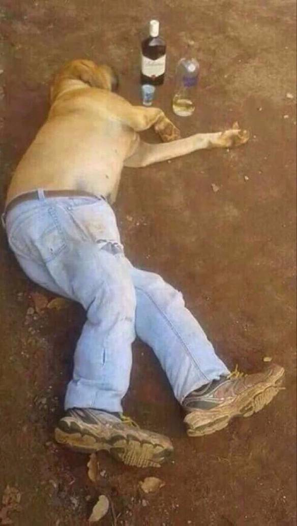Imagem engraçada Beba Mais, Seu Cachorro no iPiadas