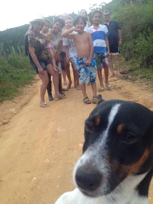 Imagem engraçada Tirando Uma Selfie Com a Turma