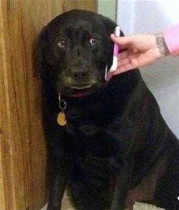 Imagem engraçada Quando Sua Mãe Te Obriga a Falar Com Os Parentes no iPiadas
