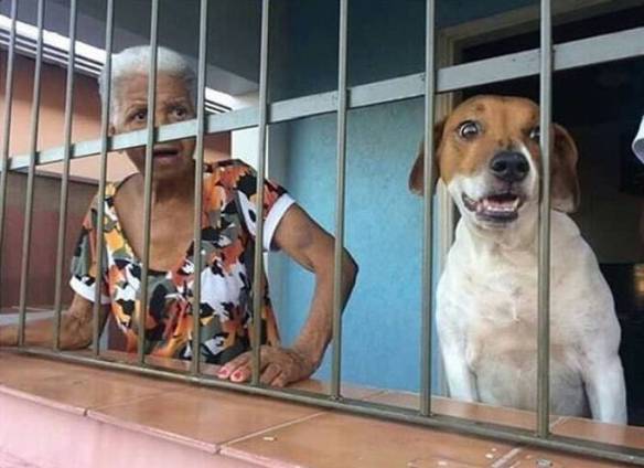 Imagem engraçada Quando Tem Briga Na Rua no iPiadas