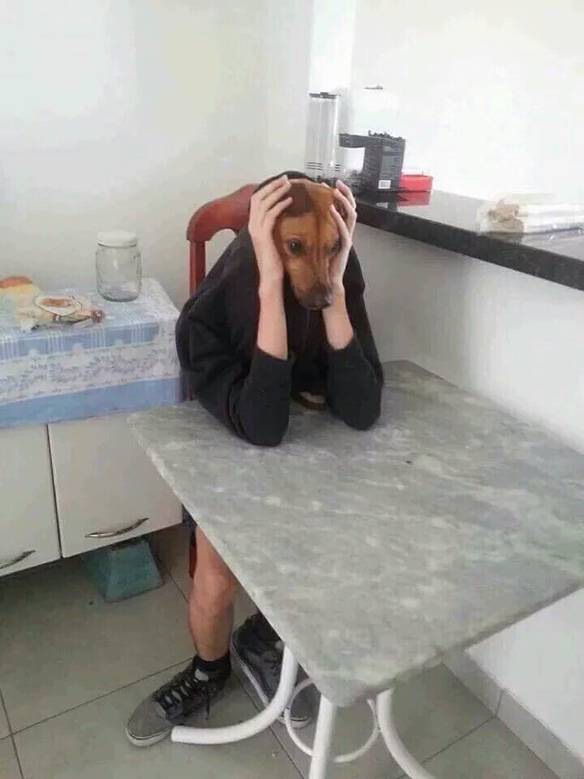 Imagem engraçada Mais uma Semana Longa no iPiadas
