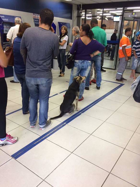 Imagem engraçada Na Fila Para Sacar o FGTS no iPiadas