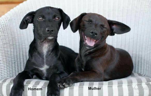 Imagem engraçada A Diferença Durante as Fotos no iPiadas