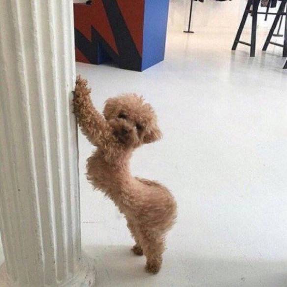 Imagem engraçada Meninas Tirando Foto no iPiadas