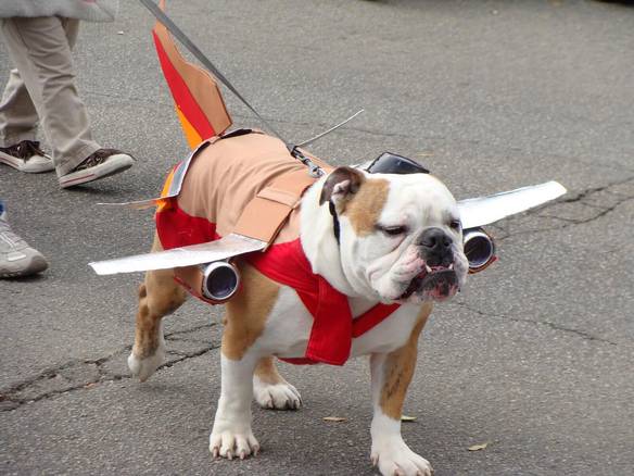 Imagem engraçada Vendo Avião Que Late no iPiadas