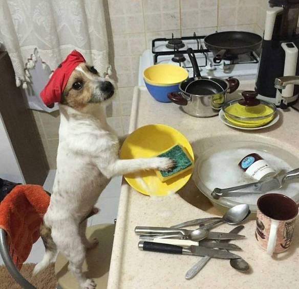Imagem engraçada Tudo Sou Eu Nessa Casa no iPiadas