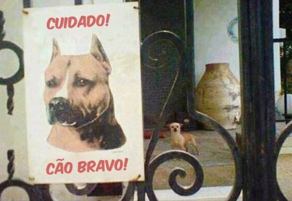 Imagem engraçada Cuidado Com o Cão Bravo no iPiadas
