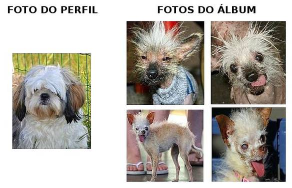 Imagem engraçada Fotos do Perfil e do Álbum no iPiadas