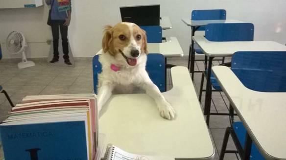 Imagem engraçada Está na Hora da Aula no iPiadas