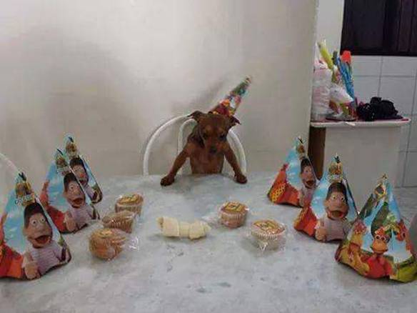 Imagem engraçada É Hora do Parabéns no iPiadas