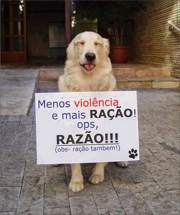 Imagem engraçada Mais Ração por Favor no iPiadas