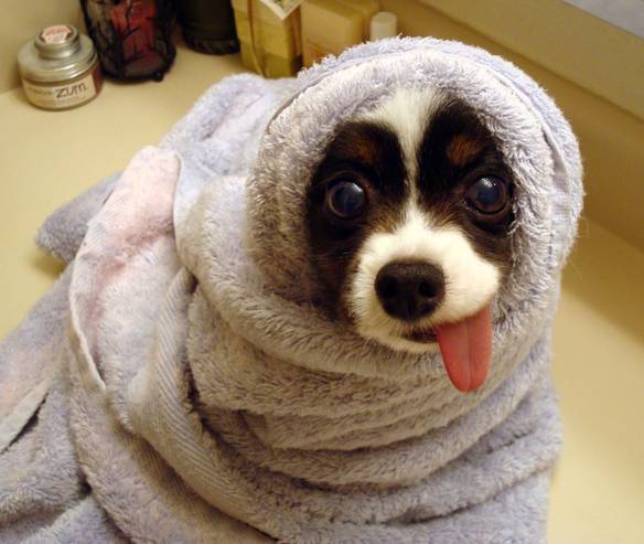 Imagem engraçada Não Está Frio... no iPiadas