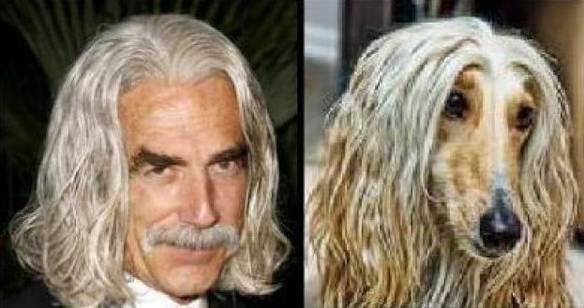 Imagem engraçada Irmãos de Pais Diferentes no iPiadas