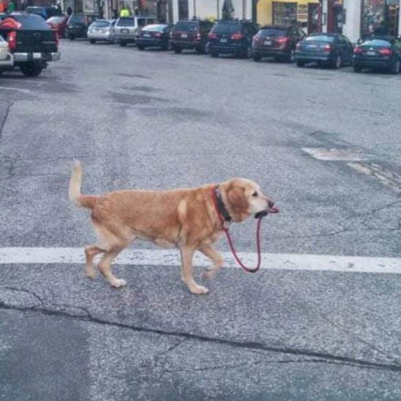 Imagem engraçada Como os Adultos Se Sentem no iPiadas
