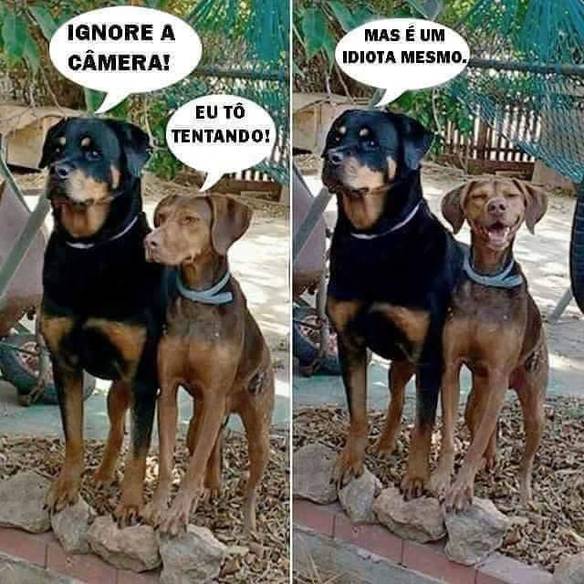 Imagem engraçada Ignore a Câmera no iPiadas