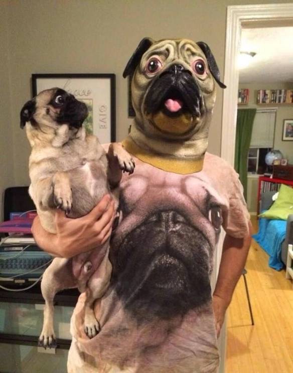 Imagem engraçada Esse Mundo Está Muito Louco no iPiadas