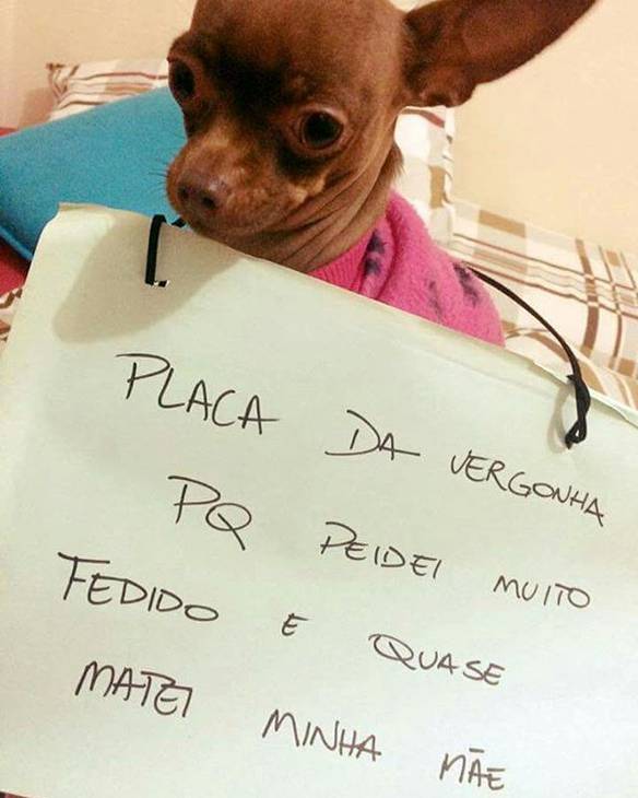 Imagem engraçada Placa da Vergonha no iPiadas
