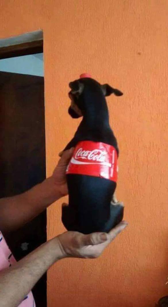 Imagem engraçada Vendo Coca-Cola de 2 Litros