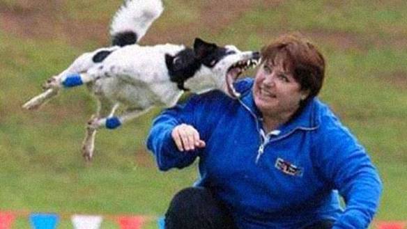 Imagem engraçada Quando Ela Ainda Tinha Orelha no iPiadas