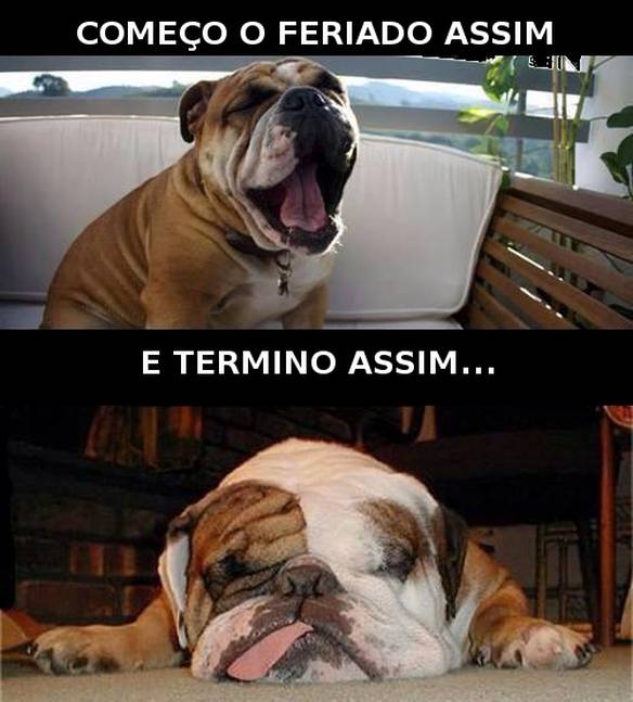 Imagem engraçada Passando Pelo Feriado no iPiadas