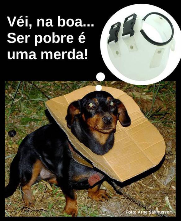 Imagem engraçada Ser Pobre É Triste... no iPiadas
