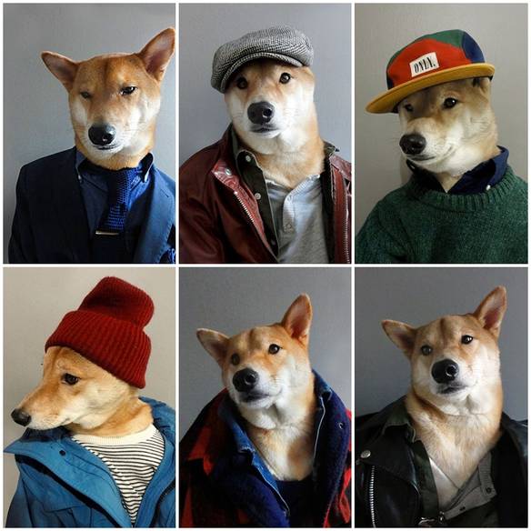 Imagem engraçada Na Moda no iPiadas