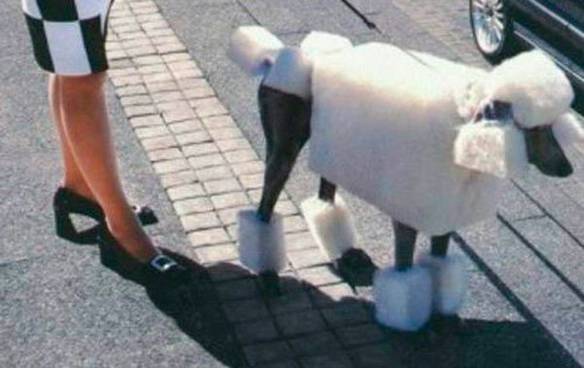 Imagem engraçada O Pior É Sair Na Rua Assim... no iPiadas
