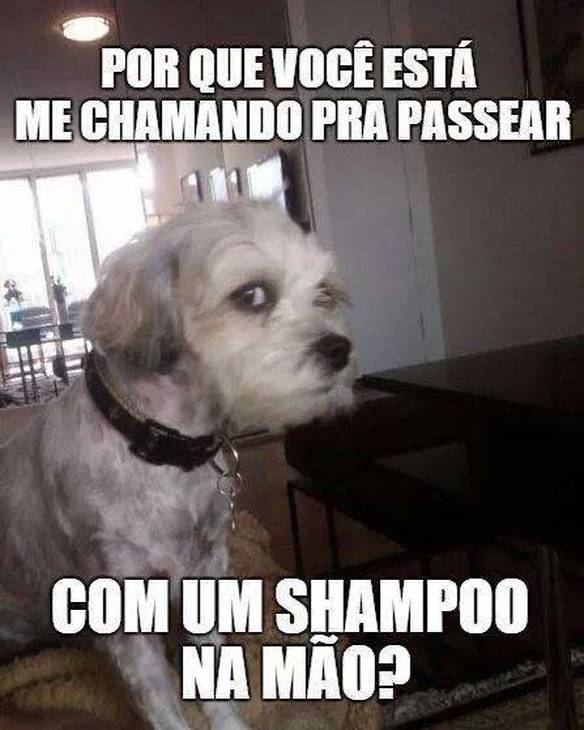 Imagem engraçada Isso Não Me Cheira Bem no iPiadas