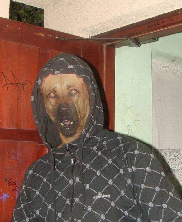 Imagem engraçada Cê É  Loko Cachorreira no iPiadas