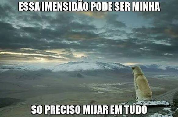 Imagem engraçada É Tudo Meu... no iPiadas