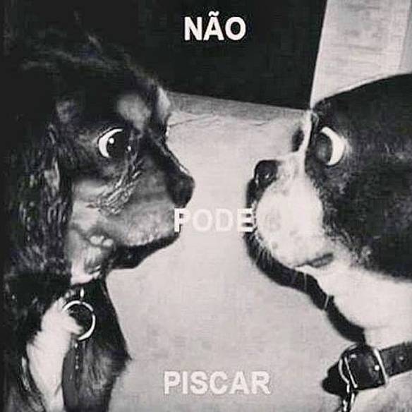 Imagem engraçada Não Pode Piscar no iPiadas