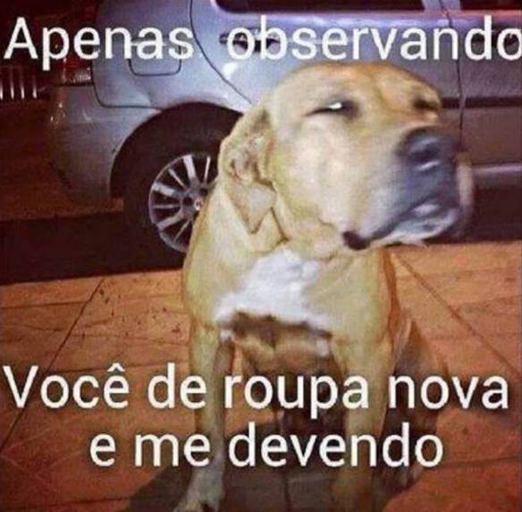 Imagem engraçada Só Observando... no iPiadas