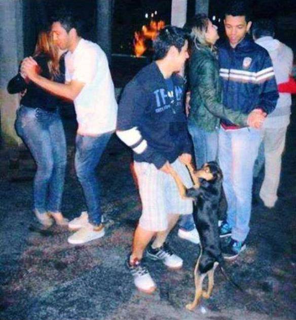 Imagem engraçada Te Vi No Baile Com Uma Cachorra no iPiadas