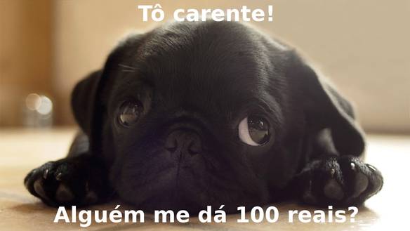 Imagem engraçada Eu Também Quero no iPiadas