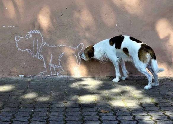 Imagem engraçada Hum, Cheiroso no iPiadas