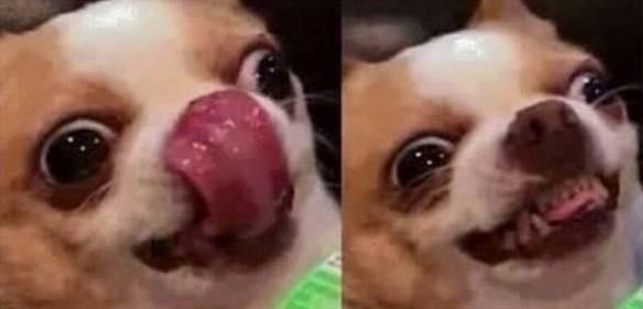 Imagem engraçada Quando Você Vê o Garçom Trazendo Seu Pedido no iPiadas