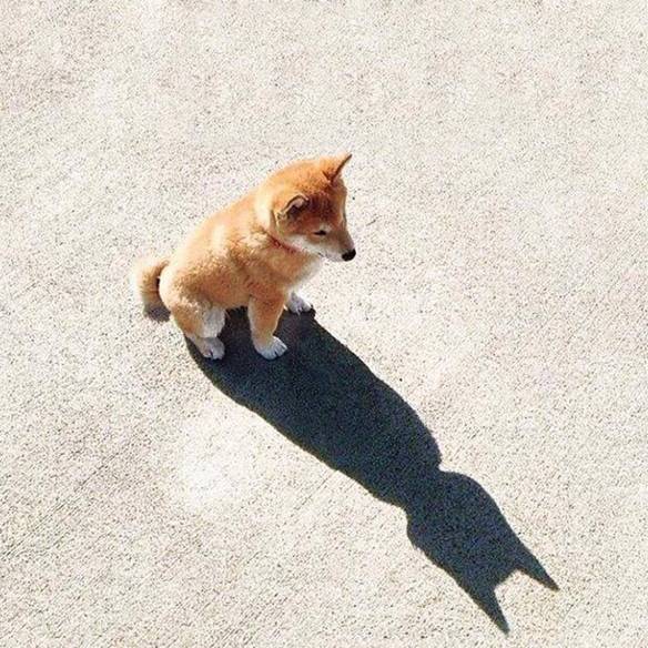 Imagem engraçada Me Deus, Eu Sou o Batman! no iPiadas