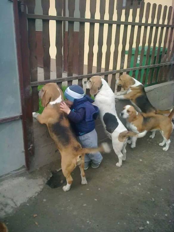 Imagem engraçada O Que Está Pegando Ali? no iPiadas