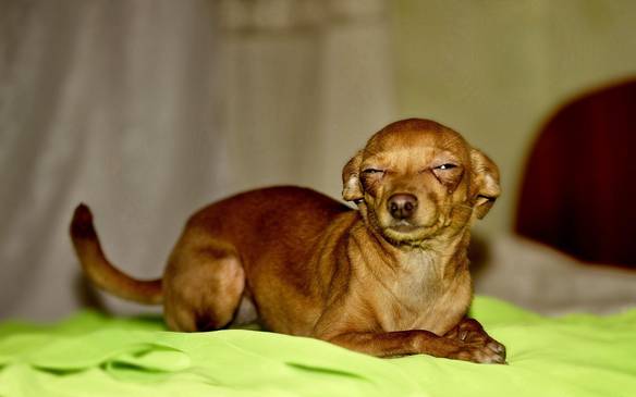 Imagem engraçada Minha Cara Quando Desconfio da Pessoa no iPiadas