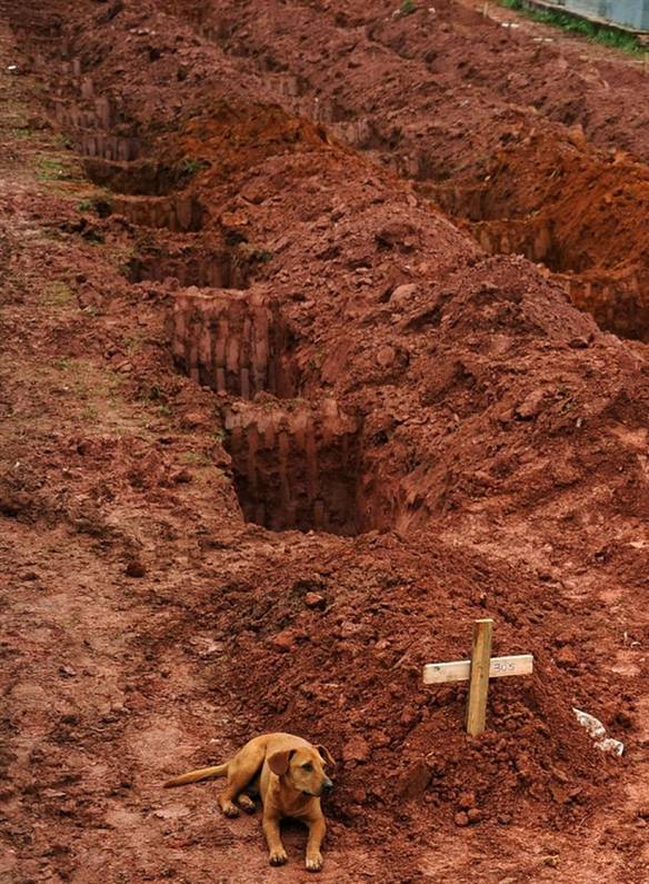 Imagem engraçada Fiel Até o Fim no iPiadas