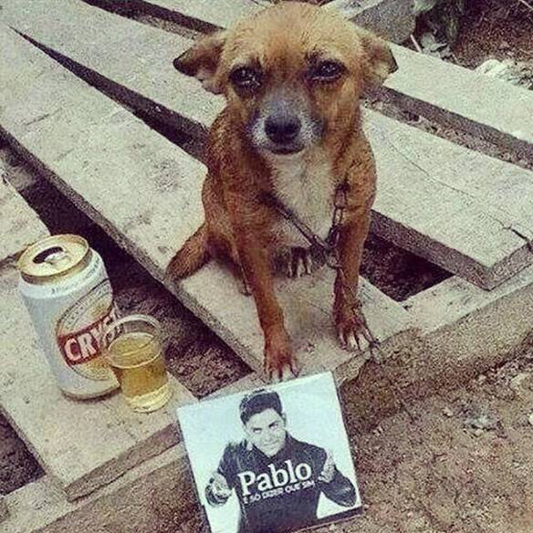 Imagem engraçada Ê Sofrência! no iPiadas